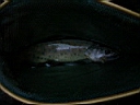 2006-09-08 011.JPG
